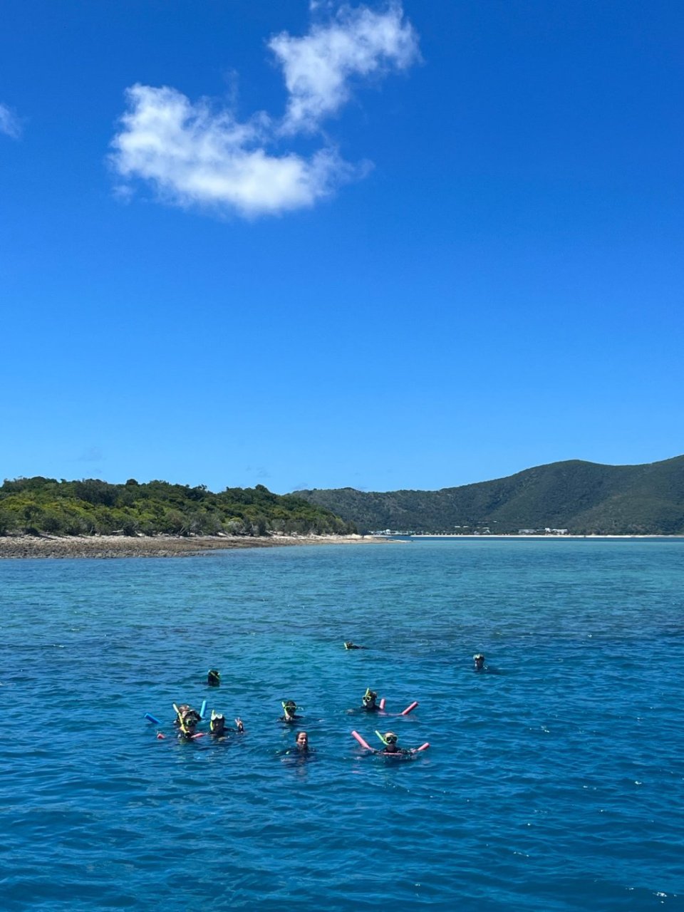 snorkel the great barrier reef