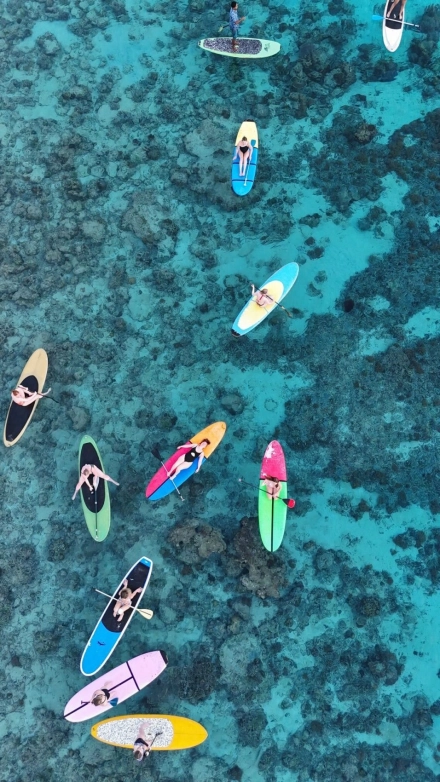 surise paddleboarding